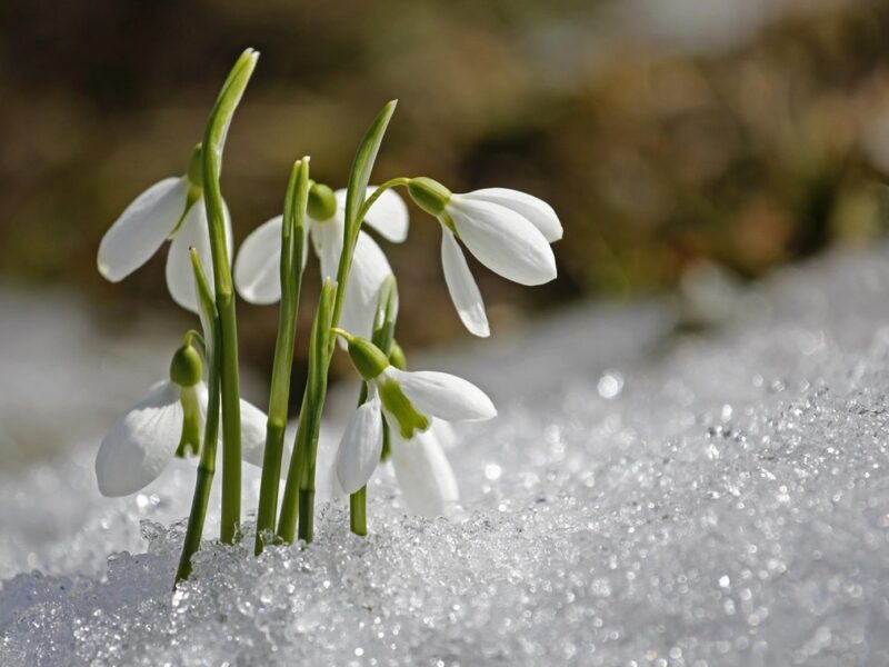 Свята 19 березня 2026 року: факти, події, заборони