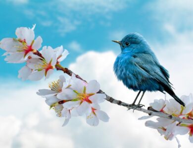 Свята 26 березня 2026: події, традиції, прикмети