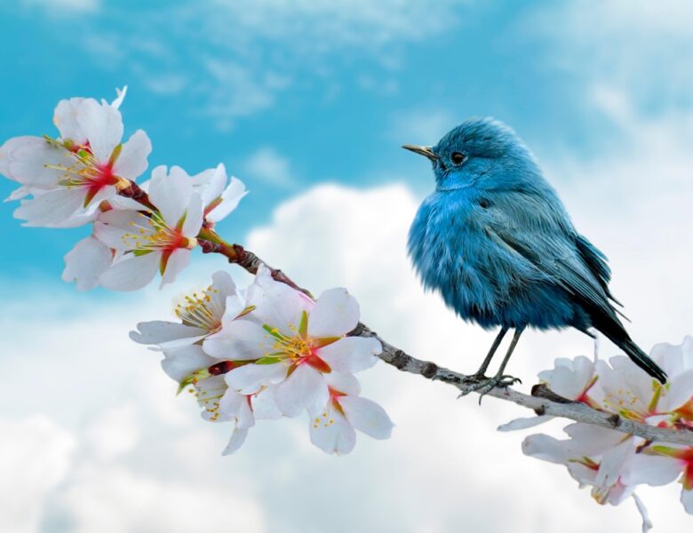 Свята 26 березня 2026: події, традиції, прикмети