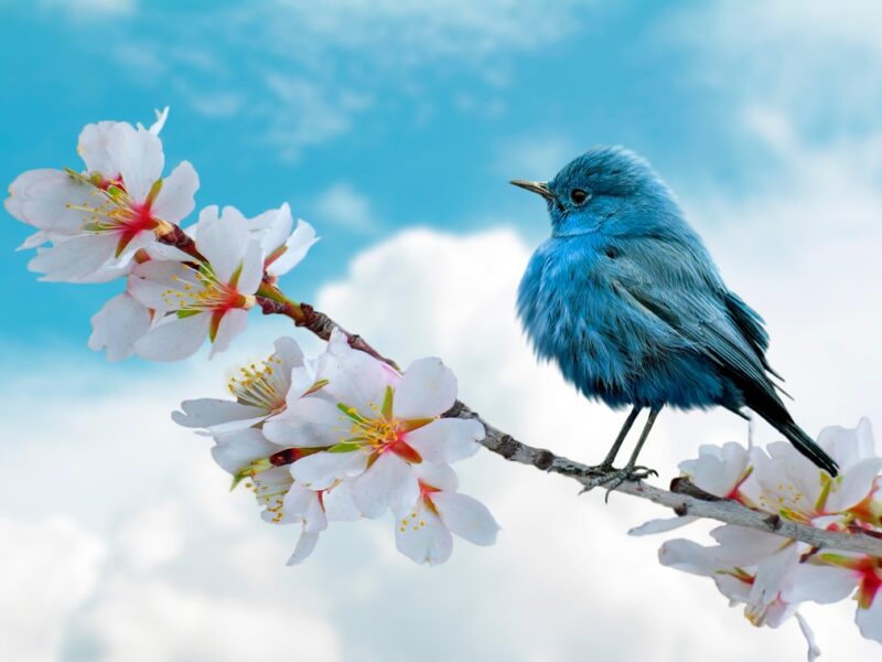 Свята 26 березня 2026: події, традиції, прикмети