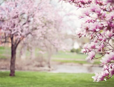 Свята 27 березня 2026: традиції, іменини, прикмети