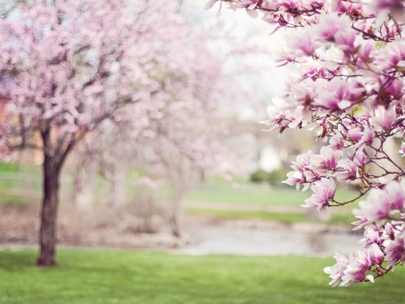 Свята 27 березня 2026: традиції, іменини, прикмети