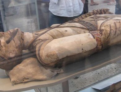 У муміях Стародавнього Єгипту знайшли канабіс, кокаїн і нікотин