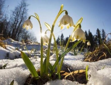 У низці областей України очікується до +13 градусів тепла