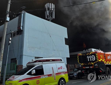 У Південній Кореї сталася пожежа на заводі, десятки постраждалих