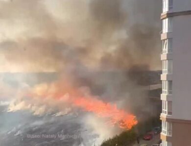 У Софіївській Борщагівці вирує масштабна пожежа