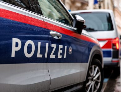 У Відні на реставрації будинка загинули четверо людей