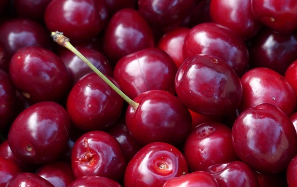 Україна скоротила заморожування ягід