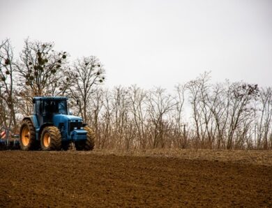 Україна відстає від торішніх темпів сівби на 28%