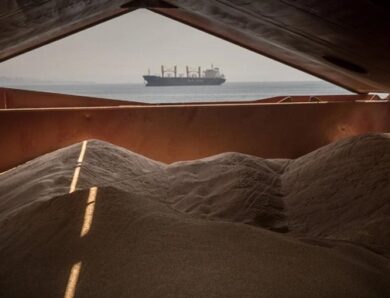 Українська пшениця подорожчала на тлі війни в Ірані