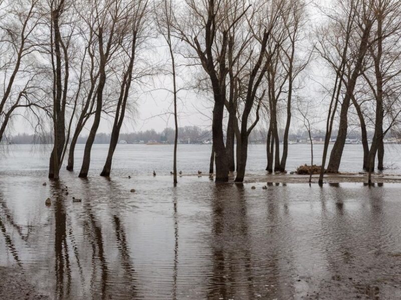 Уряд прогнозує в Україні активні весняні повені