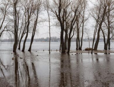 Уряд прогнозує в Україні масштабні весняні повені