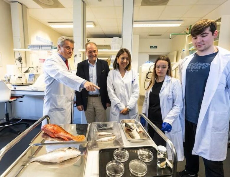 В Іспанії створили штучну рогівку з риб&rsquo;ячої луски