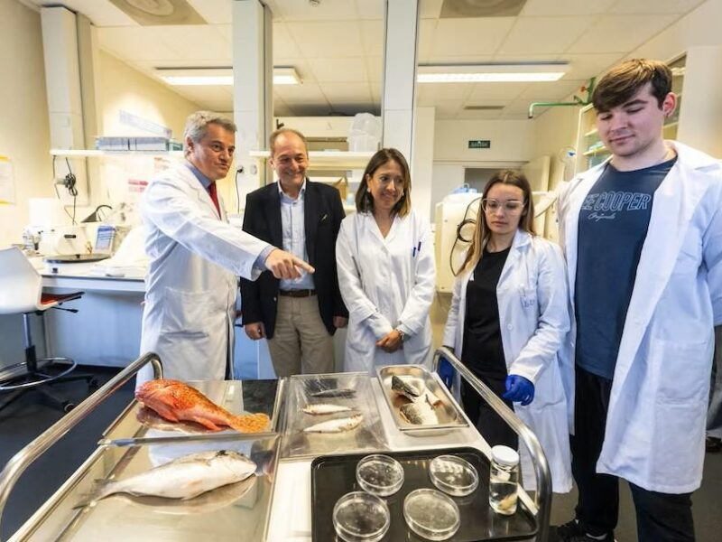 В Іспанії створили штучну рогівку з риб&rsquo;ячої луски