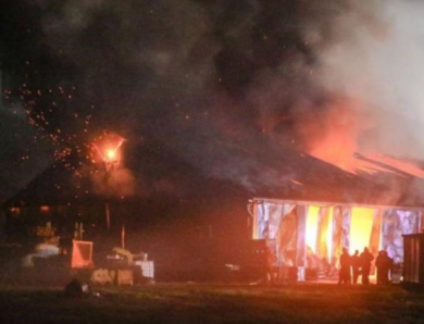 В Нідерландах загинули близько тисячі кіз під час пожежі на фермі