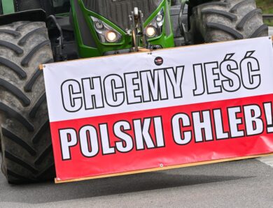 В Польщі заблокували майже 60 тонн агропродукції України