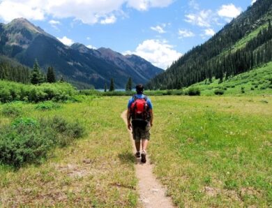 Весняна магія мандрів