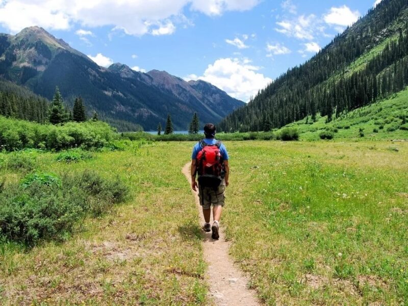 Весняна магія мандрів