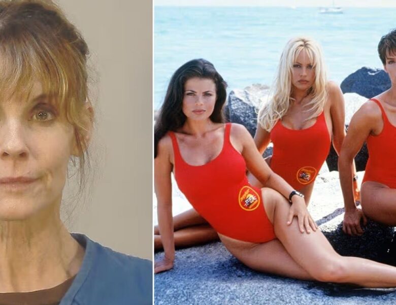 Визволила біглів. Зірку серіалу Рятувальники Малібу заарештували