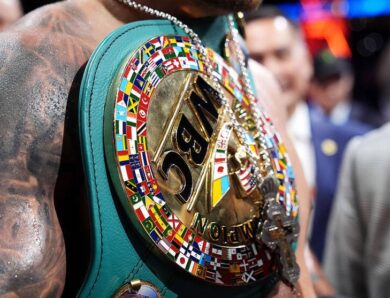 WBC розкрив причини присвоєння титульного статусу поєдинку Усик – Верховен