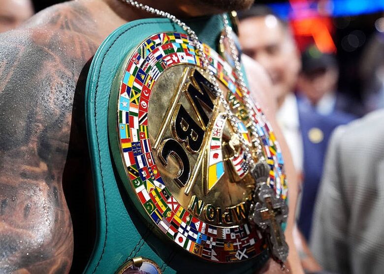 WBC розкрив причини присвоєння титульного статусу поєдинку Усик – Верховен