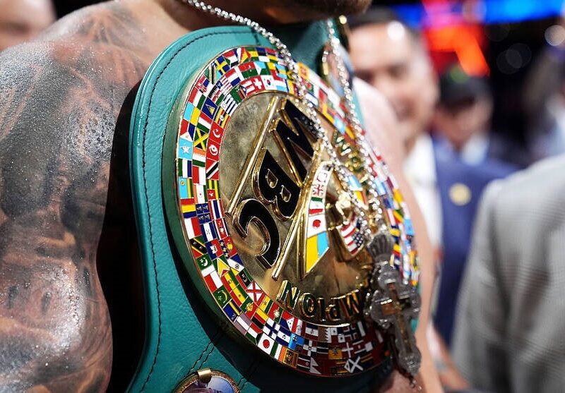 WBC розкрив причини присвоєння титульного статусу поєдинку Усик – Верховен