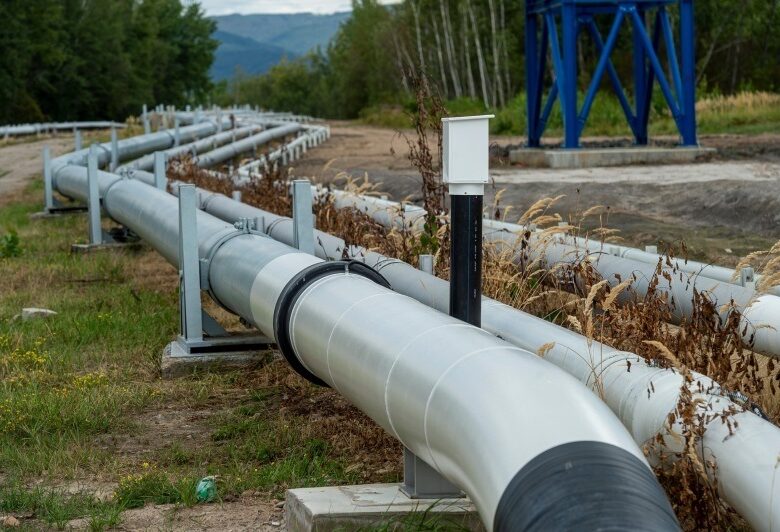 Єврокомісія запропонувала направити місію для перевірки стану Дружби