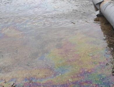 Забруднення Дністра: у Молдові виявили нові нафтові плями і мертвих птахів