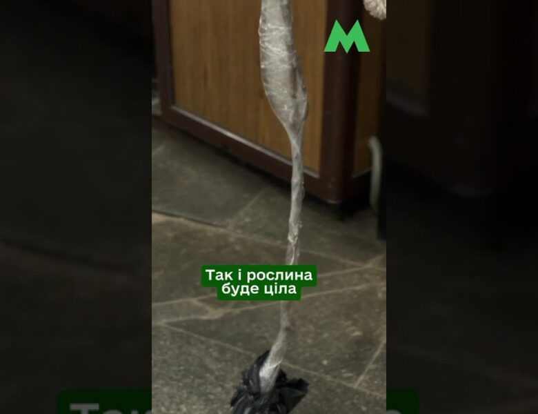 Як перевозити саджанці у столичному метро: правила