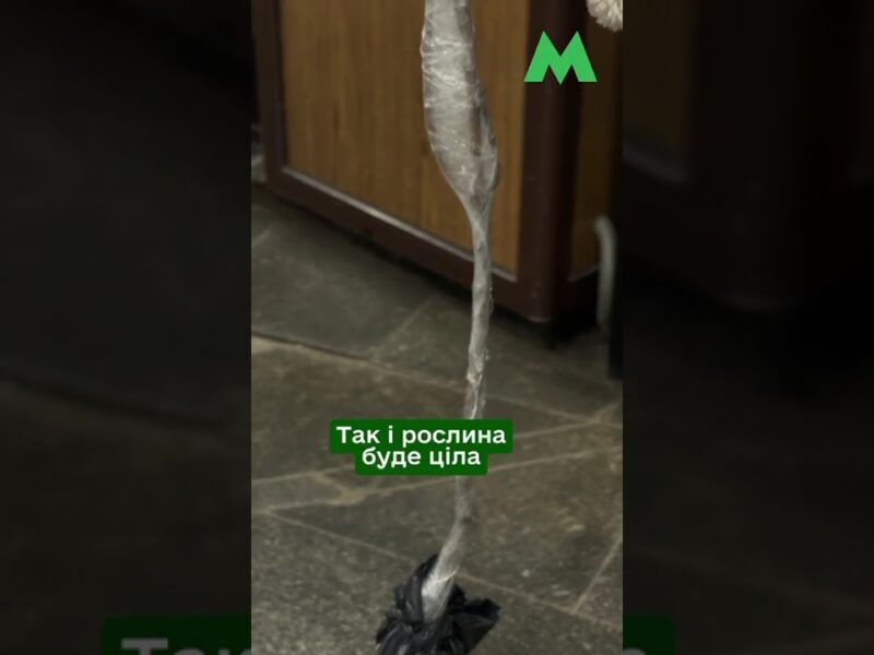 Як перевозити саджанці у столичному метро: правила