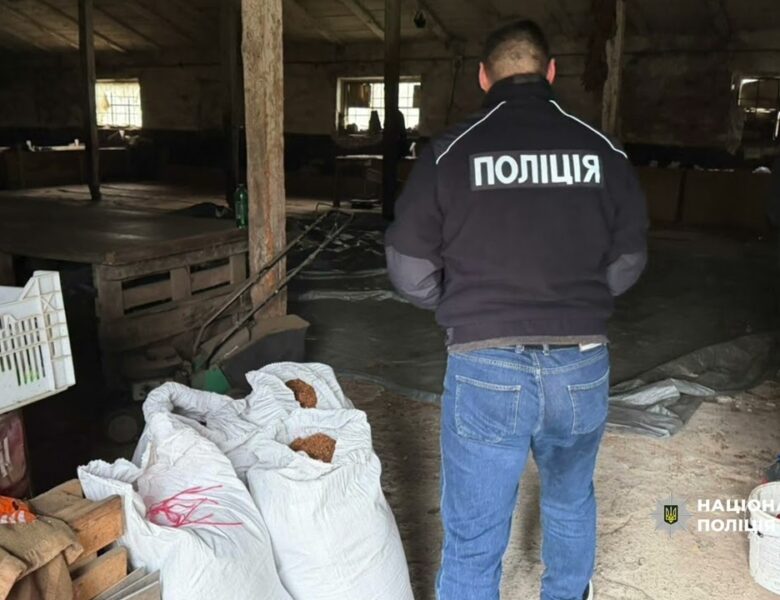 Від поля до «чорного» ринку: ДСР Нацоліції ліквідував незаконний канал постачання тютюну