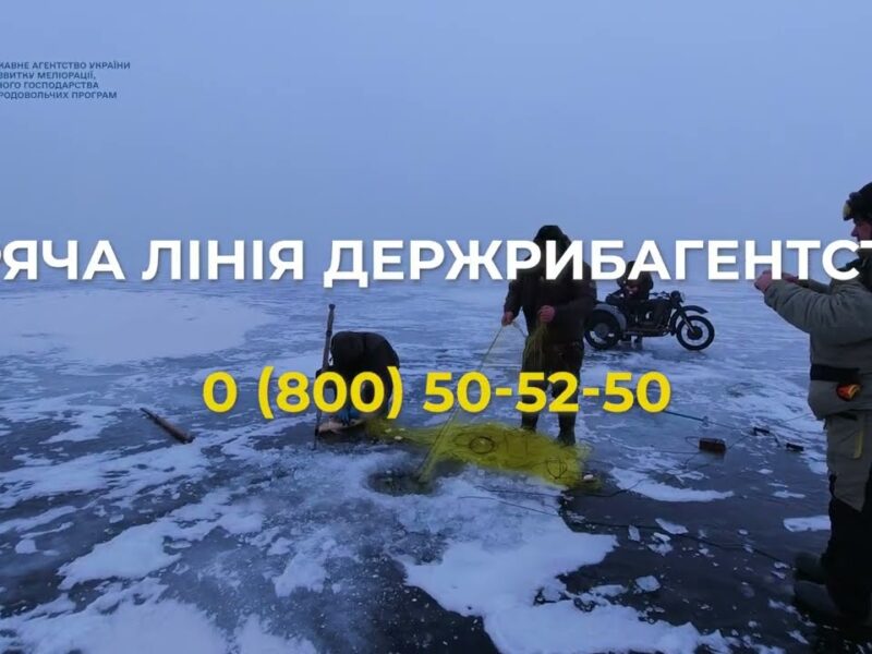 ❗️ Рибоохоронці Держрибагентства – на варті рибних багатств України