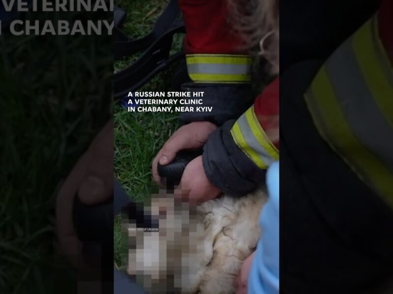 A Russian strike hit a veterinary clinic