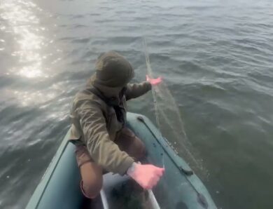 ❗️ На водоймах Рівненщини розпочалася нерестова заборона