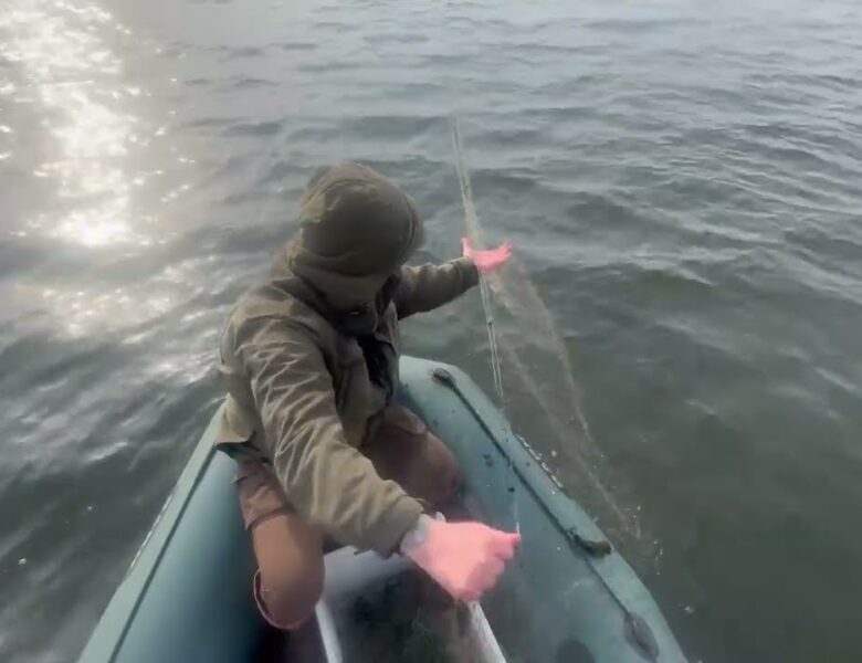 ❗️ На водоймах Рівненщини розпочалася нерестова заборона