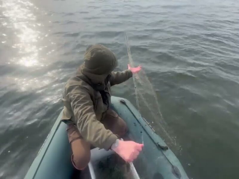 ❗️ На водоймах Рівненщини розпочалася нерестова заборона