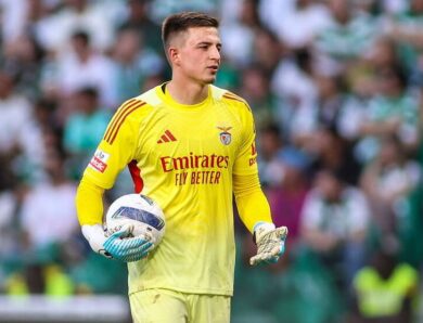 Бенфіка назвала суму, за яку відпустить українця