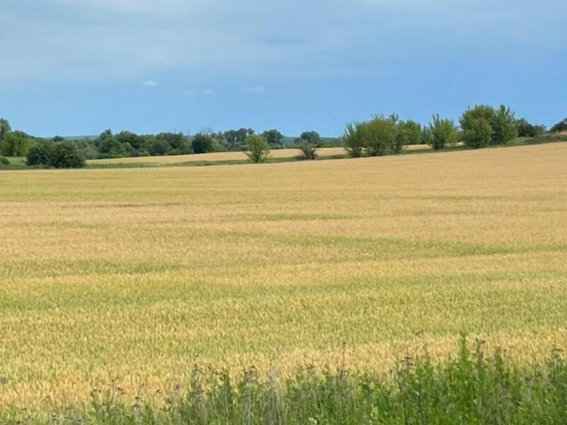 Державі повернули понад 500 га особливо цінних земель НААН