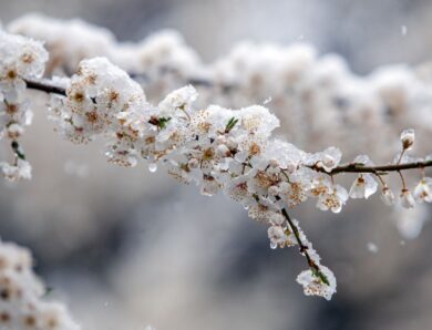 Дощ, мокрий сніг і заморозки: погода на понеділок
