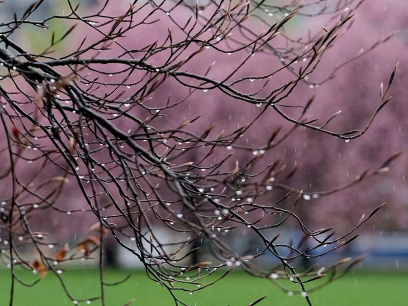 Дощі охоплять більшість регіонів України