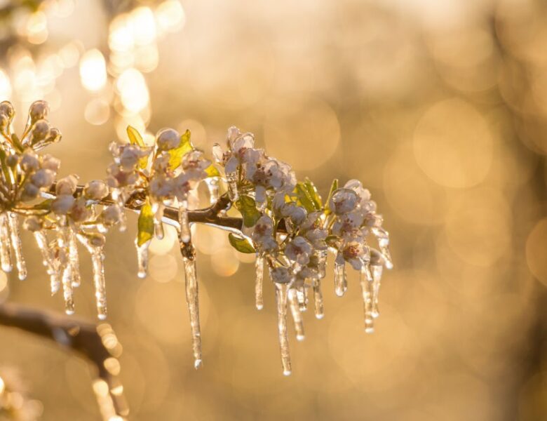 Дощі та заморозки прогнозують на Великдень