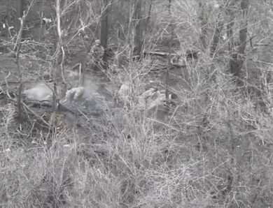 Двоє бійців ЗСУ взяли в полон вісьмох окупантів