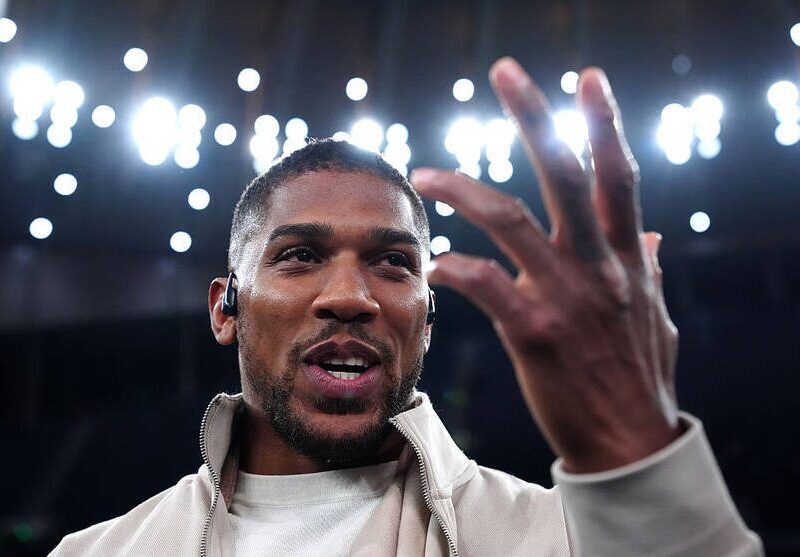 Джошуа прокоментував майбутній поєдинок