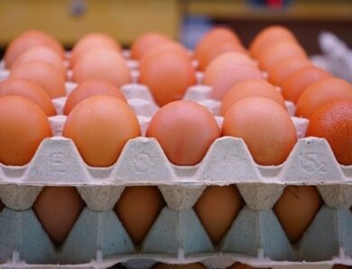 Експорт українських яєць досяг 5-річного максимуму