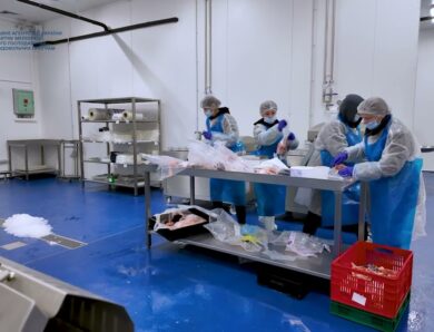 ❗️ Рибопереробка – від вилову до вашого столу