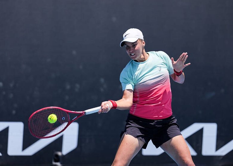 Калініна виграла перший матч в основній сітці WTA 500 у Лінці