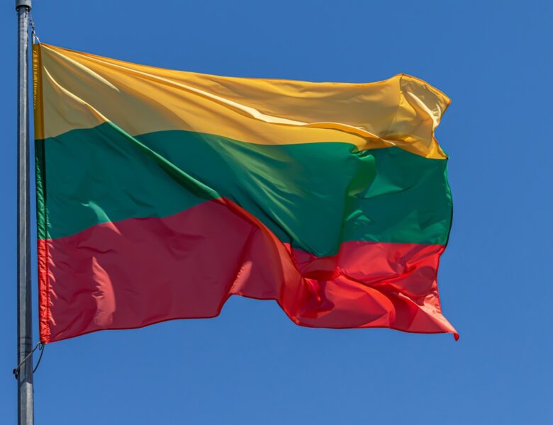 Країни Балтії заперечили причетність до атак дронів на РФ