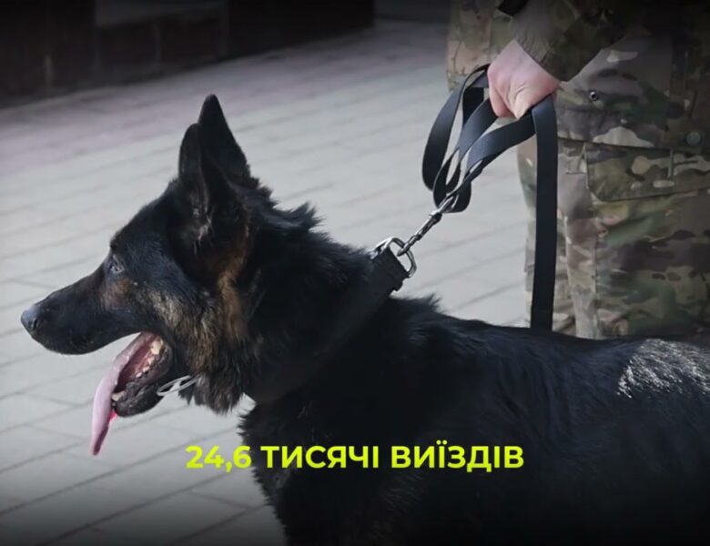 Майже 900 службових собак: як працює кінологічна служба Нацполіції