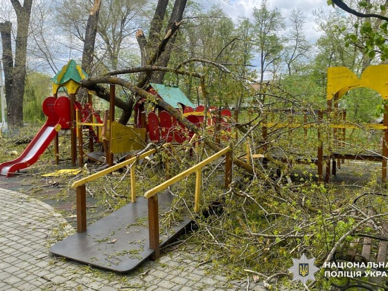 На Буковині дерева впали на дитячий майданчик: травмувалися двоє дітей