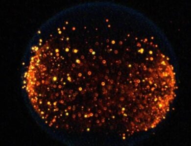 NASA вперше влаштує “пожежу” на Місяці